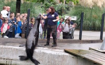 Drugi razredi u Zoološkom vrtu grada Zagreba